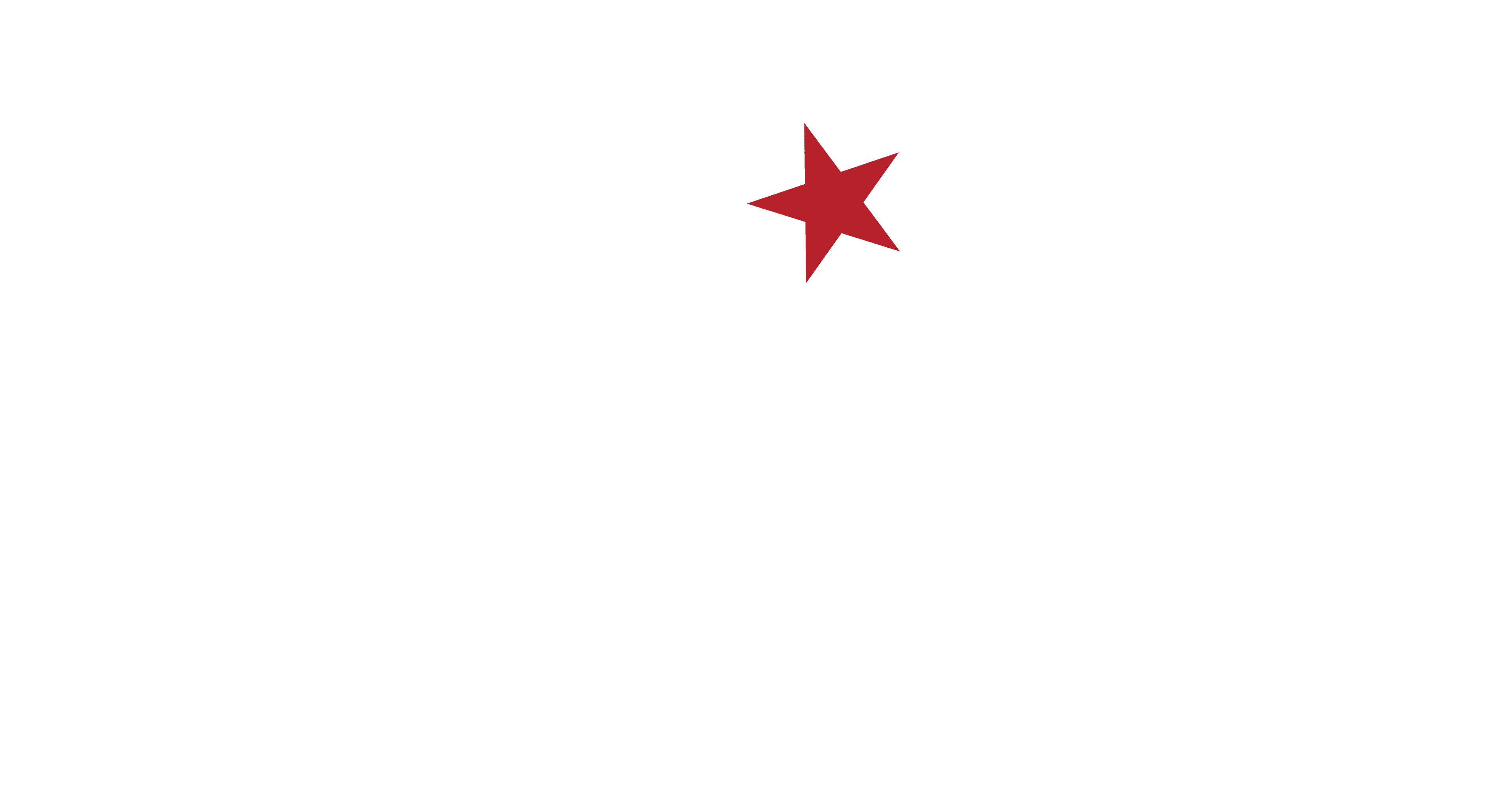 Pi-Star logo (dark)